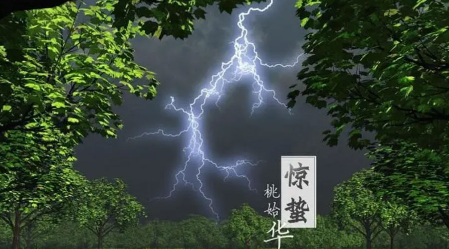 驚蟄時節(jié)！金環(huán)電器提醒大家的注意事項