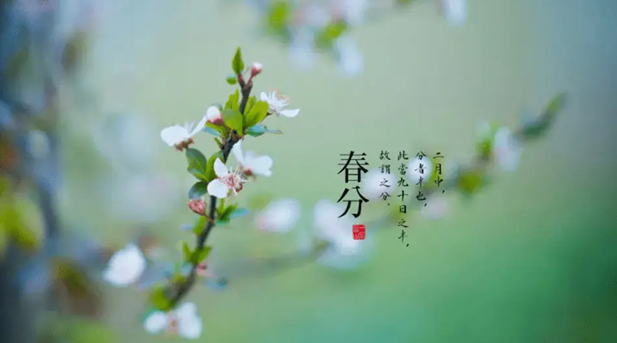 春分雨水多易生菌！金環(huán)電器提醒你衣物要注意處理